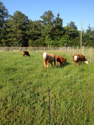 Bowers Farm