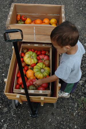 42 North Organics & The Organic Youth Learning Project