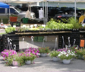 Occoquan Farmers' Market