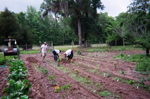 Harvest from the Heart