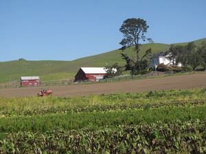 Red Hill Ranch