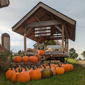 Springbrook Farms