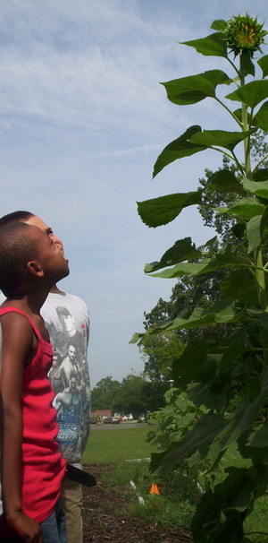 Wayne Food Initiative