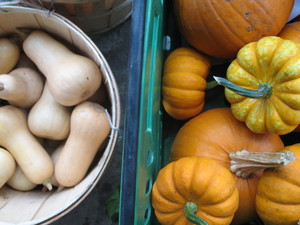 Groundwork Lawrence CSA