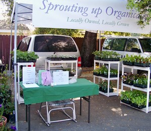 Sprouting Up Organically Nursery