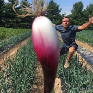 Roots to River Farm