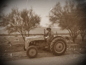RoseBud Farms