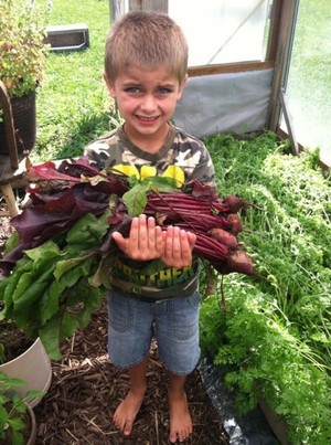 Laughing Frog Farm