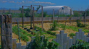 Cricket Song Farm