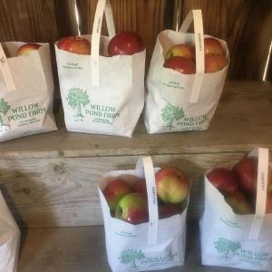 Willow Pond Farm