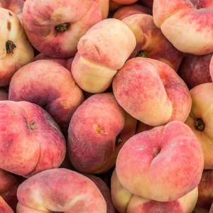Hood River Organic