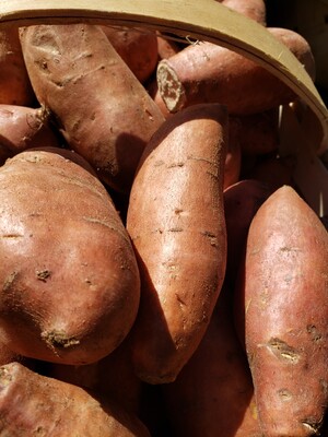 Roswell Farmers Market & Seeds of Wellness
