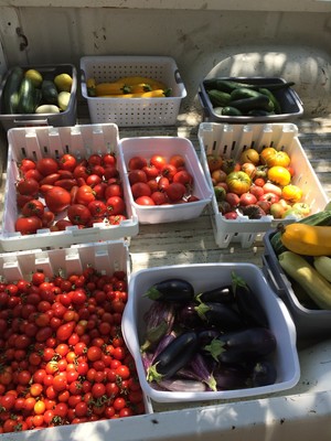The Grateful Farm