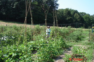 Boulder Knoll Community Farm CSA
