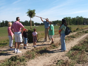 Chippokes Farm & Forestry Museum