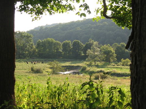 Meili Farm