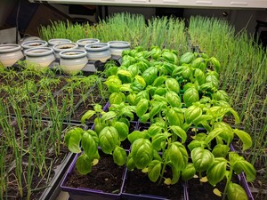Full Circle Community Farm