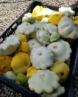 Harvest2U