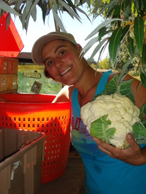 Cure Organic Farm