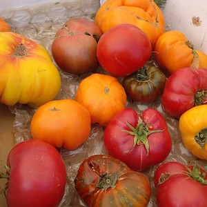 Burbank Farmers' Market