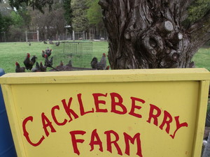 Cackleberry Farm