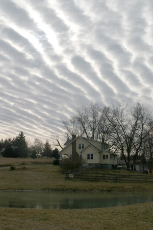 Pocket Meadow Farm