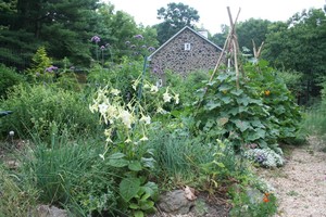 The Giving Garden