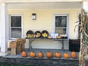 Shed Light Farm