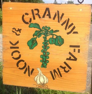 nook&cranny farm