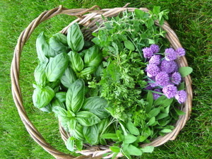 Eilert's Acres-CSA Vegetable Farm