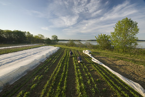 Six River Farm