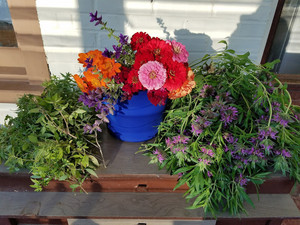 Lodal Creek Farm