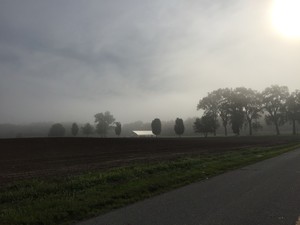 Teter Organic Farm