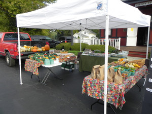Real Veggies Farm