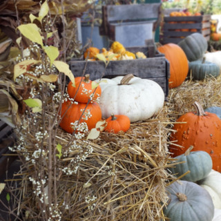 Kirby's Farm Market