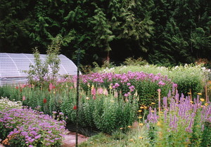 Cedar Moon Herb & Flower Farm