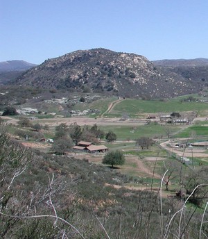 7 Sisters Stables