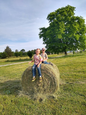 Rocky Glade Farm