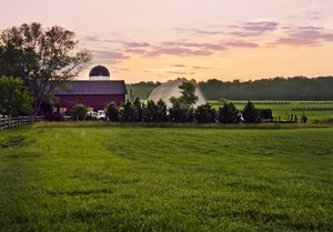 East Lynn Farm