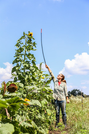 Hitchpoint Farm