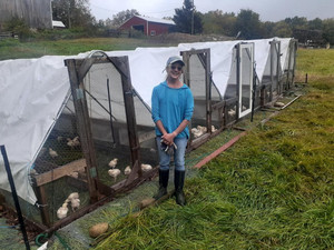 Windy Meadow Farm