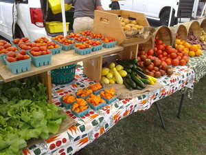 Dartmouth Farmers' Market