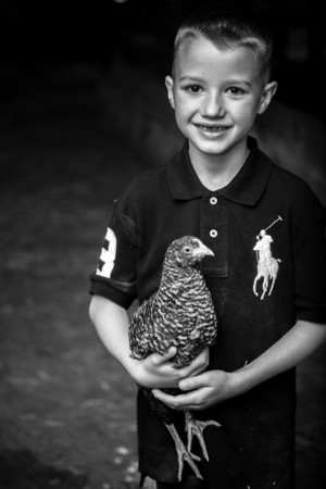 Ox Hollow Farm