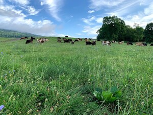 Purifying Pastures