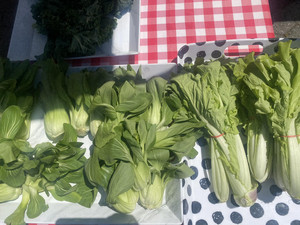 Down to Earth McGolrick Park Farmers Market
