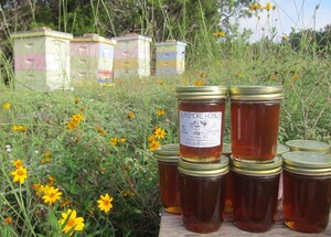 Dunsmore Honey