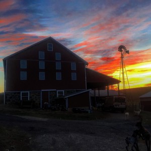 Aerie Farm East