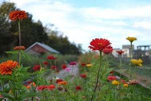 Willowsford Farm