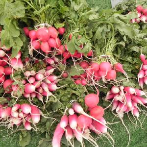 Jefferson Park Sunday Market