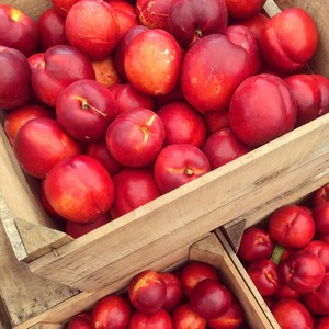 Kennett Square Farmers Market